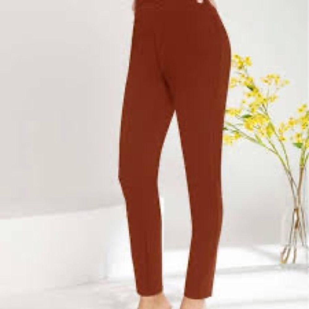 𝅺✨ SHEIN Burnt Orange Rust Skinny Pants ✨Size Small high waisted